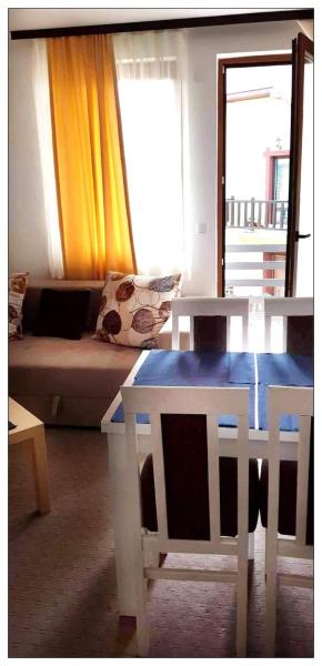 Dobricin konak, Apartman 202